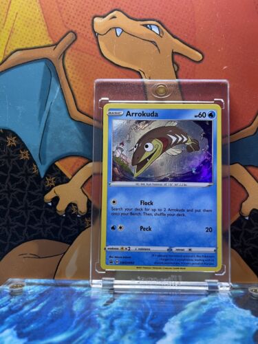 Arrokuda Holo Black Star Promo SWSH093, NM Pokemon Card