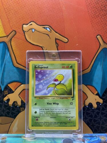 Bellsprout Base Set 2 NM 66/130 Pokemon Card