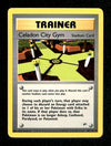 Celadon City Gym | Gym Heroes NM, 107/132 Pokemon Card.
