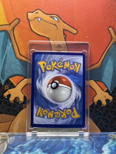 Hisuian Bascukegion Pre Release Holo Black Star Promo SWSH205, NM Pokemon Card