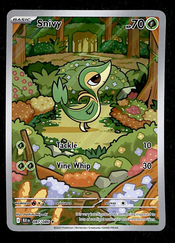 Snivy illustration rare Black Bolt 087/086, NM Pokemon Card