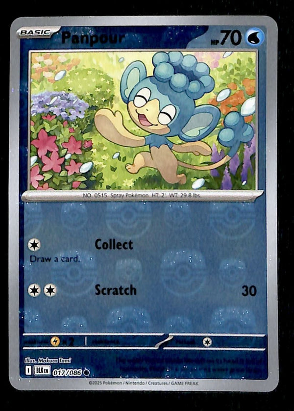 Panpour Masterball Reverse Holo Black Bolt 017/086, NM Pokemon Card