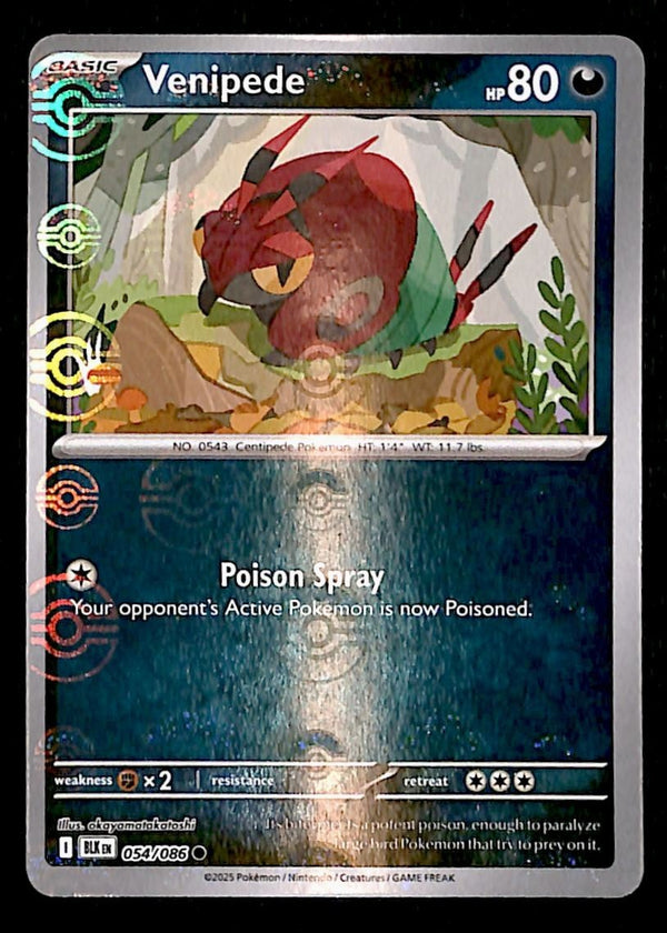 Venipede Pokeball Black Bolt 054/086, NM Pokemon Card