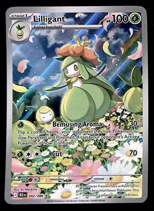 Lilligant Illustration Rare Black Bolt 092/086, NM Pokemon Card