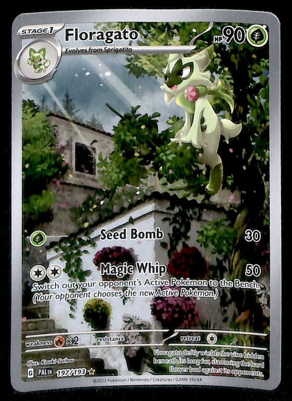Floragato Illustration Rare Paldea Evolved 197/193, NM Pokemon Card