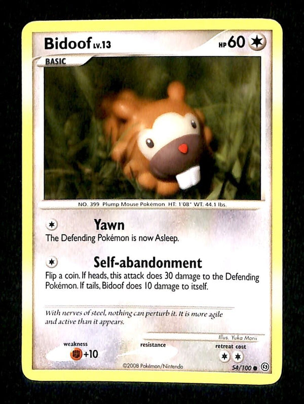 Bidoof Stormfront NM, 54/100 Pokemon Card