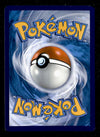 Grookey Holo Black Star Promo SWSH070, NM Pokemon Card