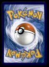 Iron Bundle Black Star Promo SVP 066, NM Pokemon Card