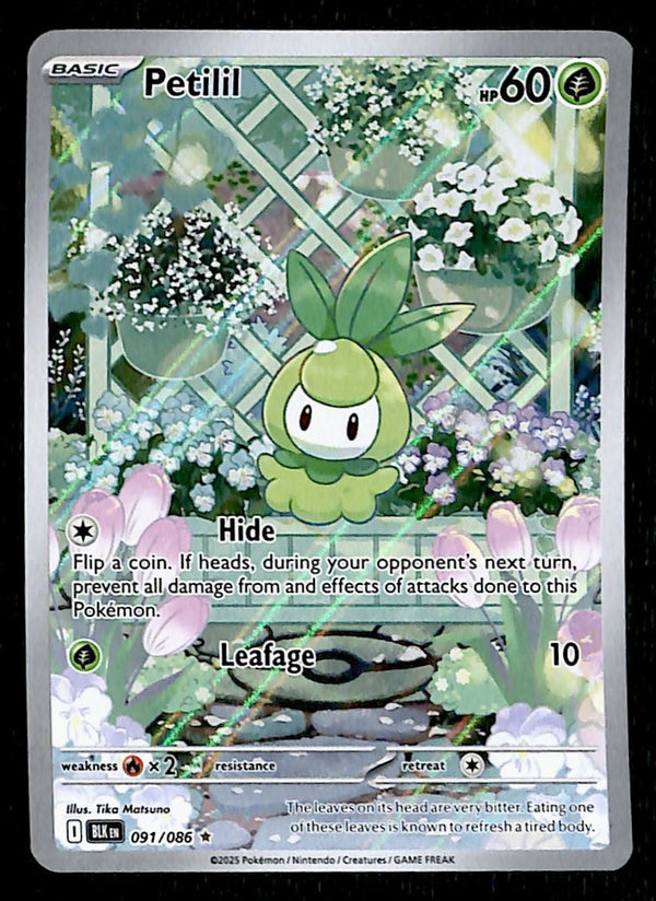 Petilil Black Bolt 091/086, NM Pokemon Card