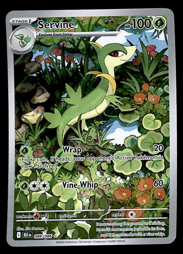 Servine Illustration Rare Black Bolt 088/086, NM Pokemon Card