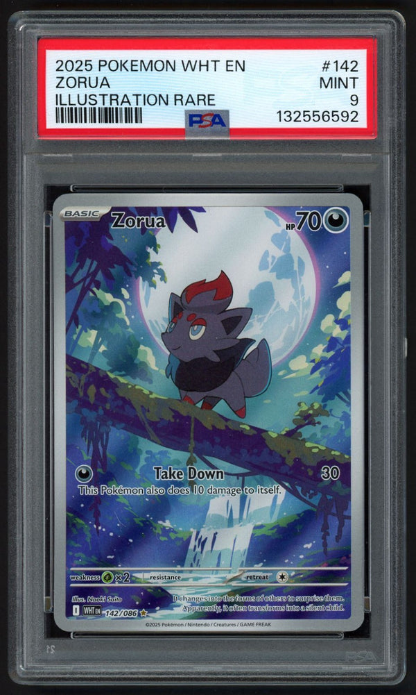 Zorua Illustration Rare White Flare 142/086, PSA 9 Pokemon Card