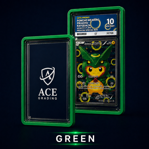 GradedGuard ACE Slab Bumper