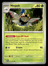 Mega Evolution Commons/Uncommon's