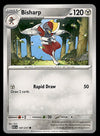 Ascended Heroes Commons and Uncommons