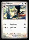 Scarlet & Violet Commons/Uncommon's