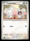 Scarlet & Violet Commons/Uncommon's