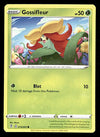 Evolving Skies Commons and Uncommons
