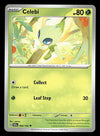 Stellar Crown Commons/Uncommon's